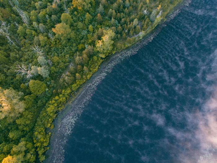 Aerial view of a forest shoreline with mist on the water