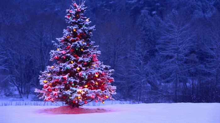 Decorated Christmas tree in a snowy forest
