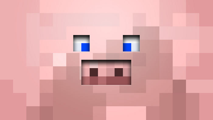 Minecraft Pig Face