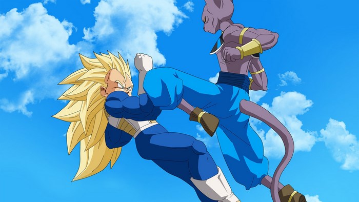 Vegeta and Beerus fighting in Dragon Ball Z
