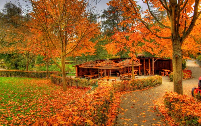Autumn park with fallen leaves and wooden gazebos