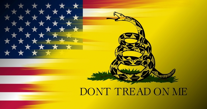 American Flag and Gadsden Flag with Rattlesnake