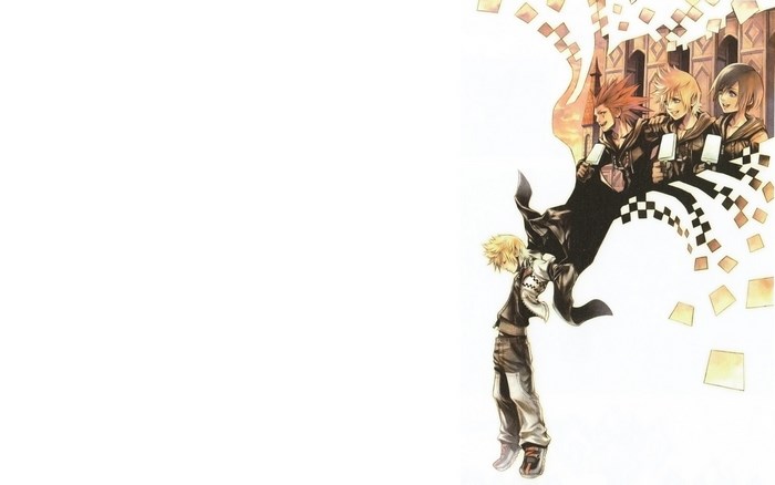Roxas and Organization XIII from Kingdom Hearts
