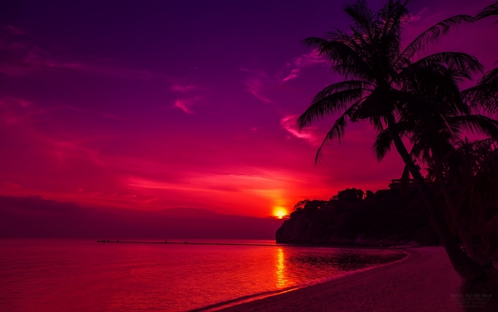 Sunset over ocean with palm trees