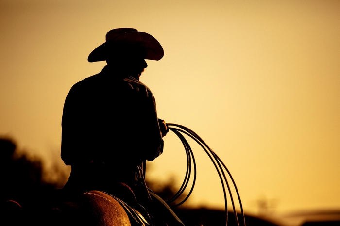 Silhouette of a cowboy on horseback with a lasso at sunset