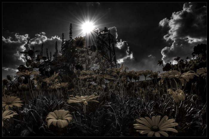 Flowers and Sunburst with Clouds