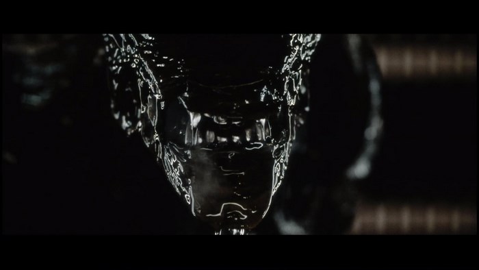 Alien from Alien franchise