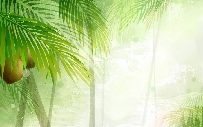 Palm trees with coconuts and leaves
