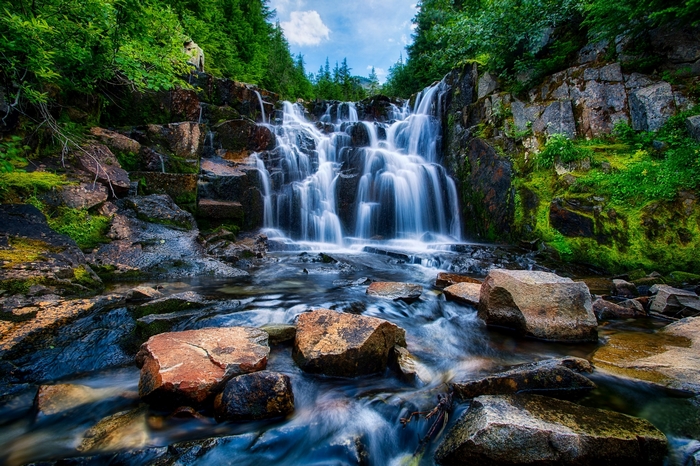 Waterfall cascading over rocks in a forest
