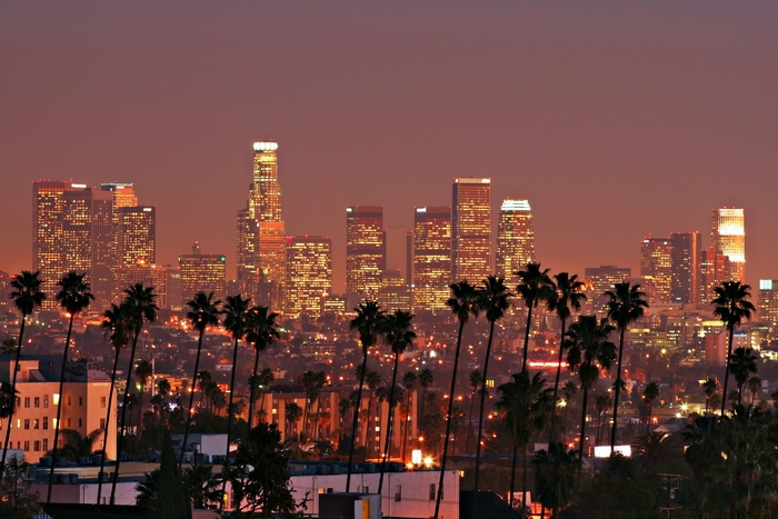 Los Angeles skyline at dusk with palm trees