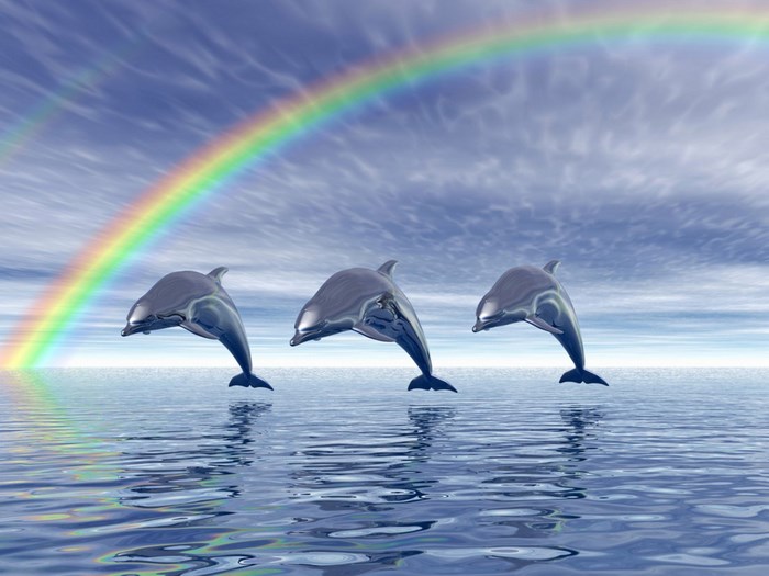 Three dolphins jumping out of the ocean under a rainbow