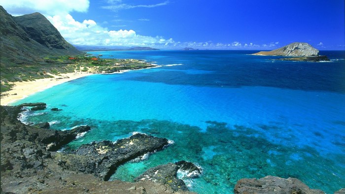 Hawaii Coastline with Turquoise Ocean and Rocky Shore