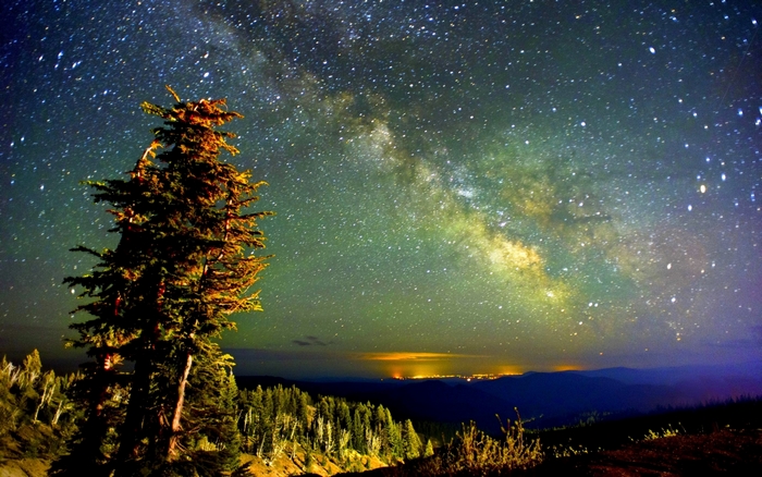 Night sky with Milky Way over forest and city lights