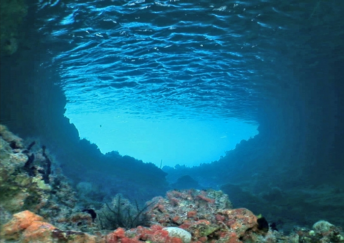 Underwater cave entrance with coral reef