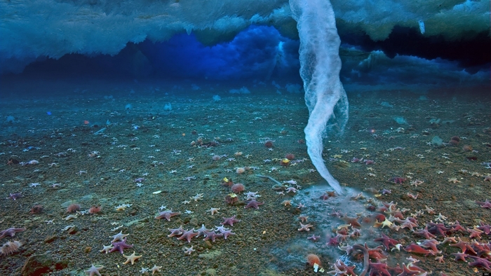 Underwater ice vortex with starfish on the seabed