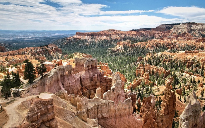 Bryce Canyon National Park Hoodoos and Forest