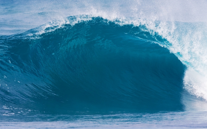 Ocean wave crashing with spray