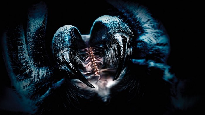 Close-up of a spider's fangs and mouthparts