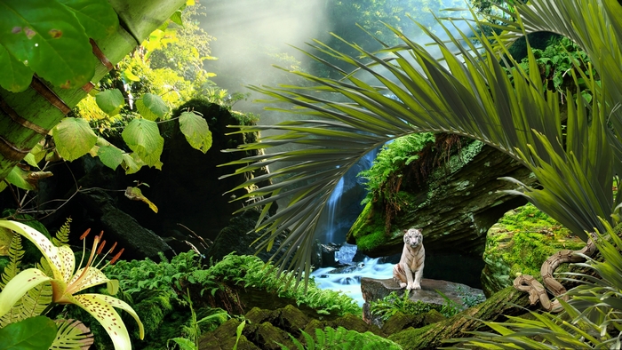 White tiger and snake in a jungle with waterfall