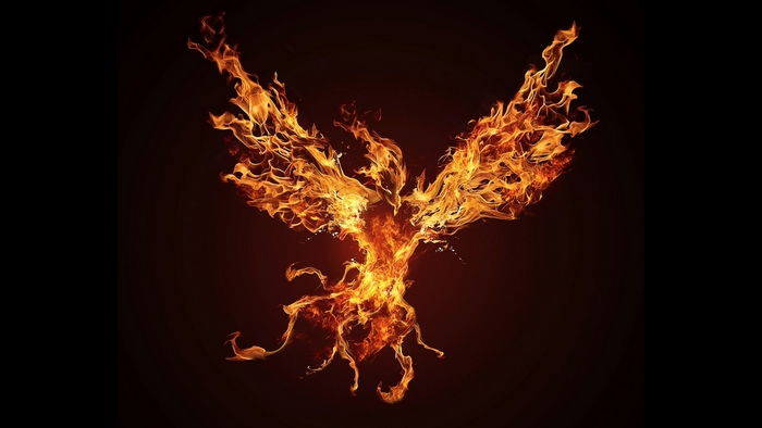 Phoenix made of fire