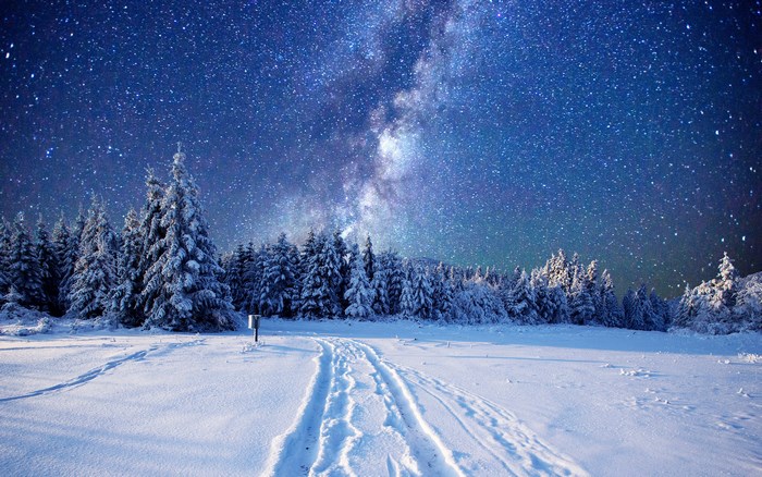 Snowy forest under the Milky Way