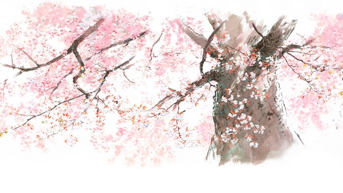 The Tale of the Princess Kaguya Cherry Blossoms