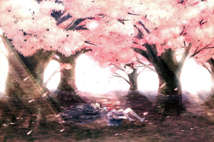 Girl under cherry blossom trees