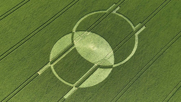 Crop circles in a green field