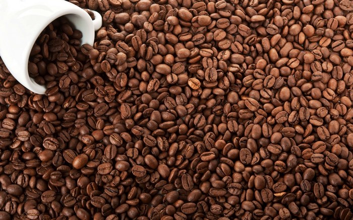 Coffee beans spilling from a white cup