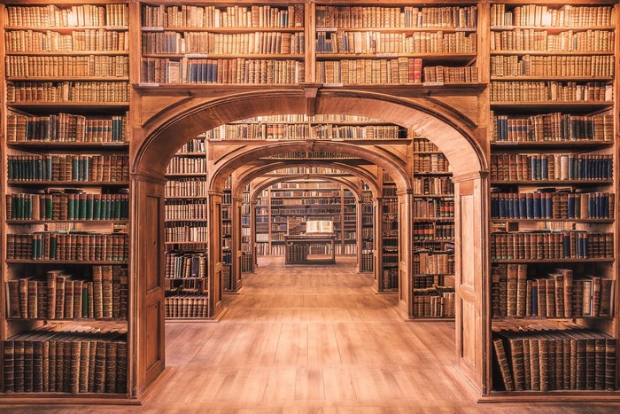 Library interior with arched doorways and bookshelves