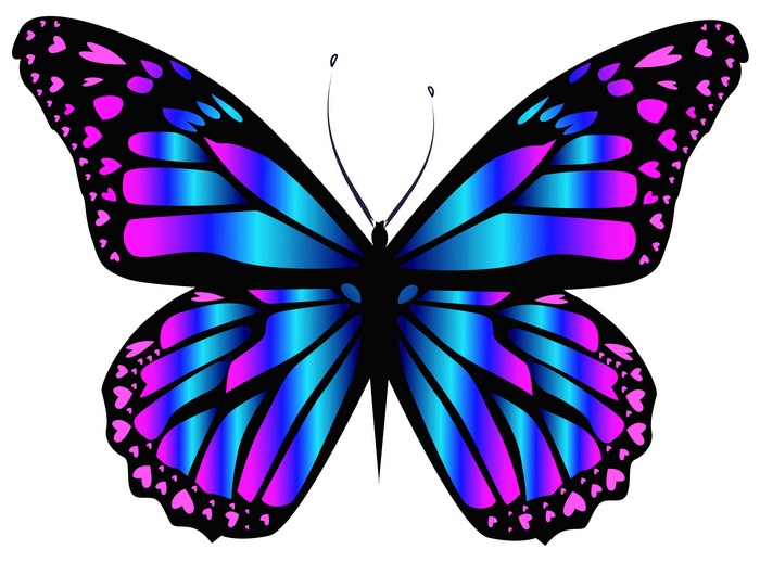 Butterfly with blue and pink wings