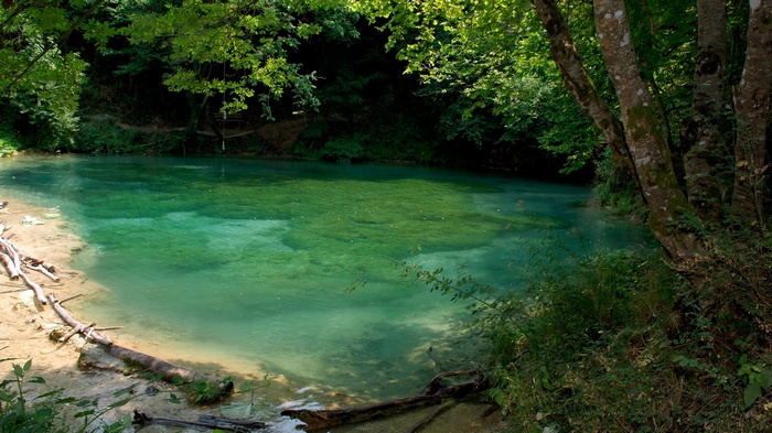 Clear turquoise water in a forest