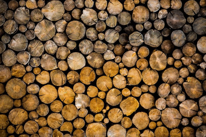 Pile of cut wood logs