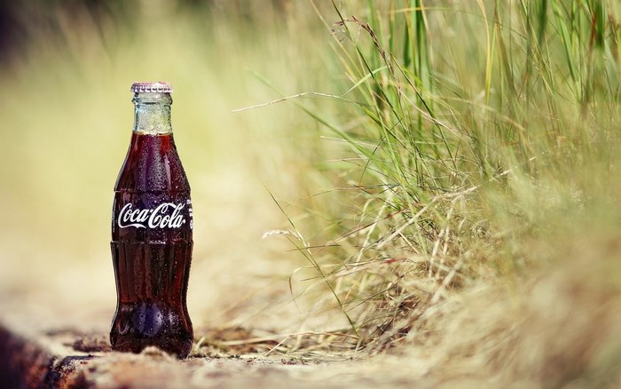 Coca-Cola bottle in tall grass
