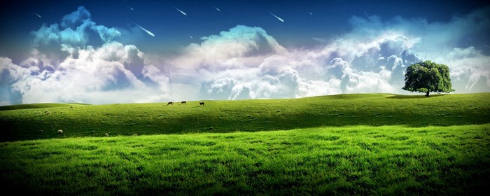 Green rolling hills with a lone tree and falling stars