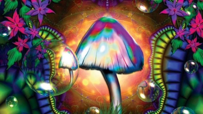 Psychedelic Mushroom and Flowers Desktop