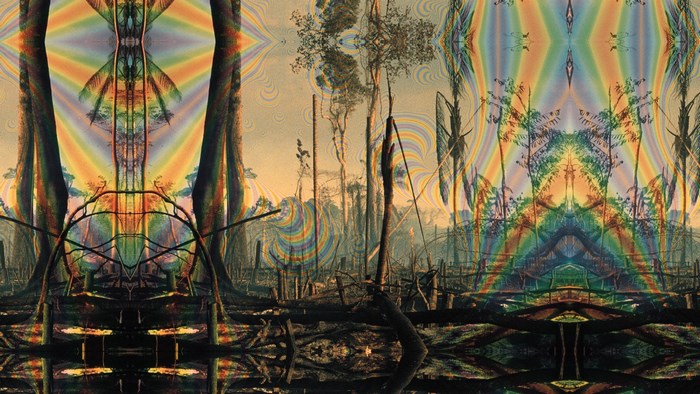 Psychedelic forest with rainbow effects