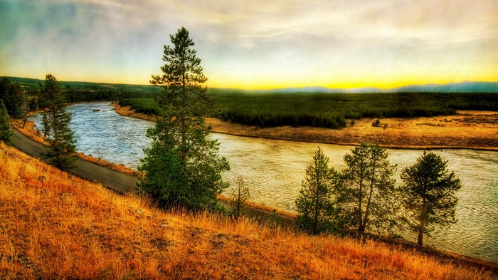 River flowing through a forest at sunset
