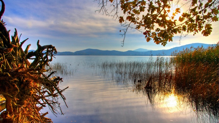 Lake with reeds and mountains at sunset