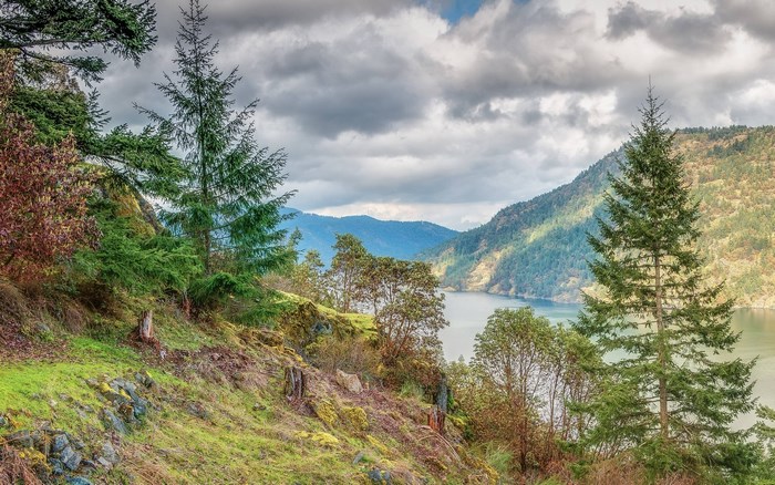 Mountain Lake View with Evergreen Trees