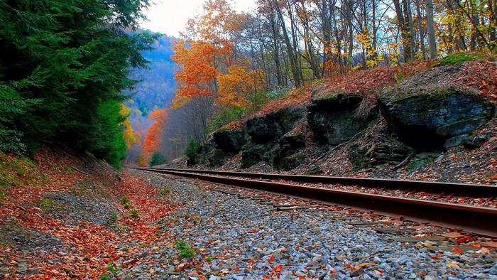 Train tracks through autumn forest with colorful trees