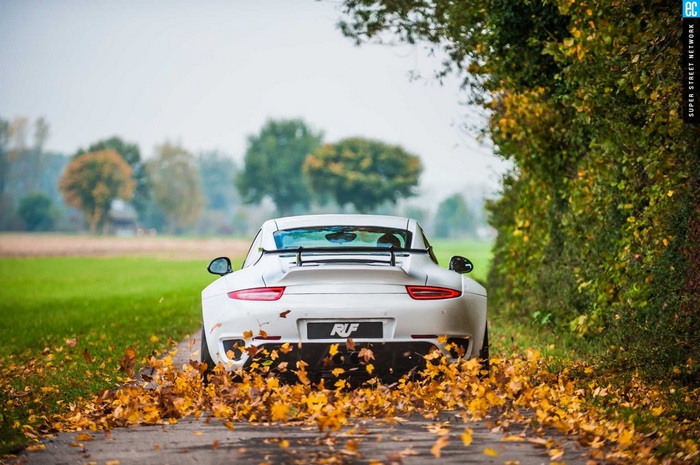 White RUF Porsche 911 on a Leaf-Covered Road