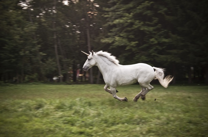 White unicorn running in a grassy field
