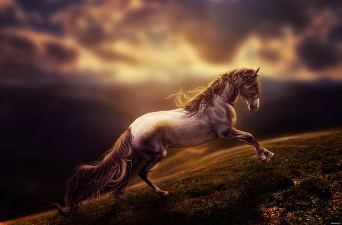 Majestic Horse Running Uphill at Sunset 4K