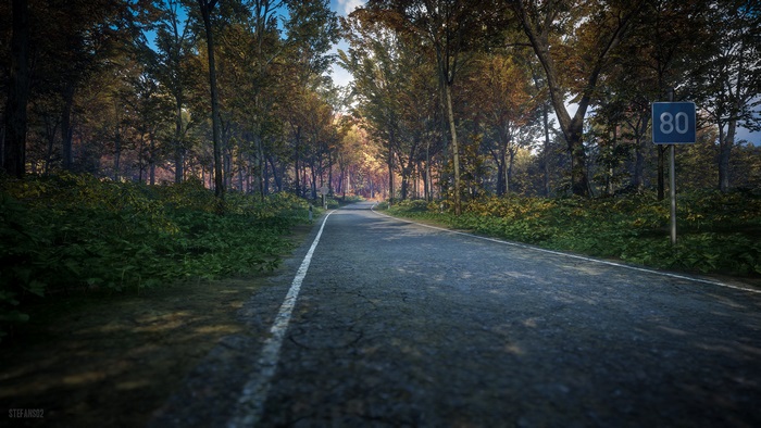 Road through a forest with speed limit sign