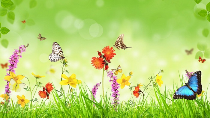 Spring 4K Full HD Background