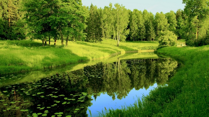 A tranquil river flows through a sunlit forest with reflections.