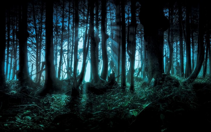 Dark forest with blue light and sunbeams