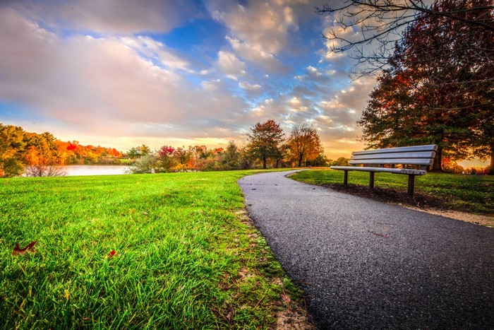 Sunset Path with Bench in Autumn Park