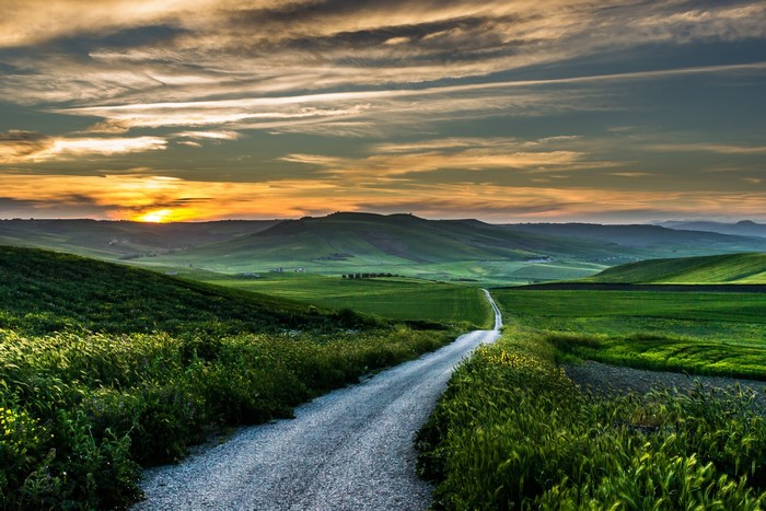 Road through green fields at sunset in Italy